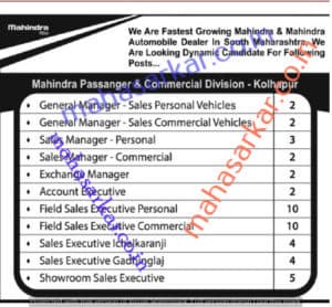 Mahindra Rise Recruitment 2017