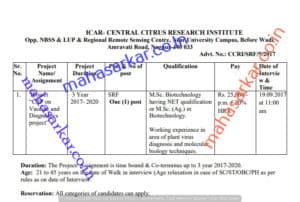 CCRI Nagpur Senior Research Fellow Recruitment 2017