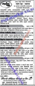 MMFPL Recruitment 2017