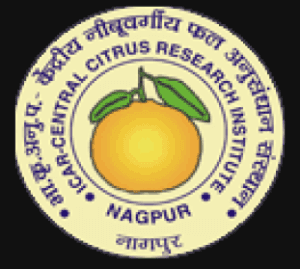 ICAR – CCRI Nagpur Bharti 2026: सेंट्रल सायट्रस रिसर्च इंस्टिट्यूट, नागपूर मध्ये विविध रिक्त पदांकरीता थेट मुलाखती आयोजित २०२६.
