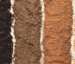 “Maharashtra Soil and its types” Study Notes for MPSC and other Competitive Exam: महाराष्ट्रातील मुद्रा व मुद्रा प्रकार