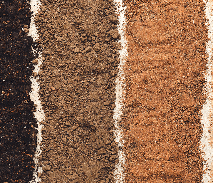 “Maharashtra Soil and its types” Study Notes for MPSC and other Competitive Exam: महाराष्ट्रातील मुद्रा व मुद्रा प्रकार