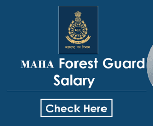Maharashtra Forest Guard Salary and Job Profile for 2023:  महाराष्ट्र वनरक्षक पगार आणि भरती प्रोफाइल २०२३
