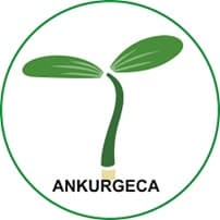 AnkurGECA Bharti 2026: अंकुर जीईसीए इनक्युबेशन सेंटर फाउंडेशन मध्ये विविध रिक्त पदांची भरती २०२६.
