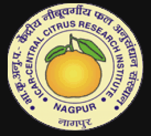 ICAR – CCRI Nagpur Bharti 2026: सेंट्रल सायट्रस रिसर्च इंस्टिट्यूट, नागपूर मध्ये विविध रिक्त पदांकरीता थेट मुलाखती आयोजित २०२६.