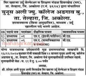 Yunis Ali College Professor Recruitment 2017