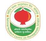 ICAR-राष्ट्रीय अनार अनुसंधान केंद्र सोलापूर भरती २०२४.