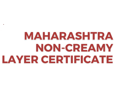 Non Creamy Layer Certificate for Police Bharti 2024 : पोलीस भरतीसाठी नॉन क्रीमी लेयर प्रमाणपत्र