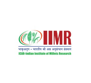 ICAR-IIMR Solapur Bharti 2025: इंडियन इन्स्टिट्यूट ऑफ मिलेट्स रिसर्च, सोलापूर मध्ये विविध रिक्त पदांकरीता थेट मुलाखती आयोजित २०२५.