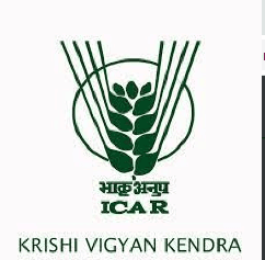 KVK Bhandara Bharti 2026: कृषी विज्ञान केंद्र साकोली – भंडारा मध्ये ‘या’ रिक्त पदांची नवीन भरती सुरु २०२६.