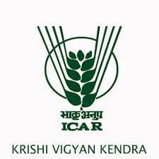 KVK Pune Bharti 2025: कृषि विज्ञान केंद्र बारामती, पुणे मध्ये विविध रिक्त पदांची भरती २०२५.