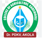 College of Agriculture Gadchiroli Bharti 2026: कृषी महाविद्यालय सोनापूर – गडचिरोली येथे विविध पदांच्या नियुक्तीकरीता जाहिरात २०२६.